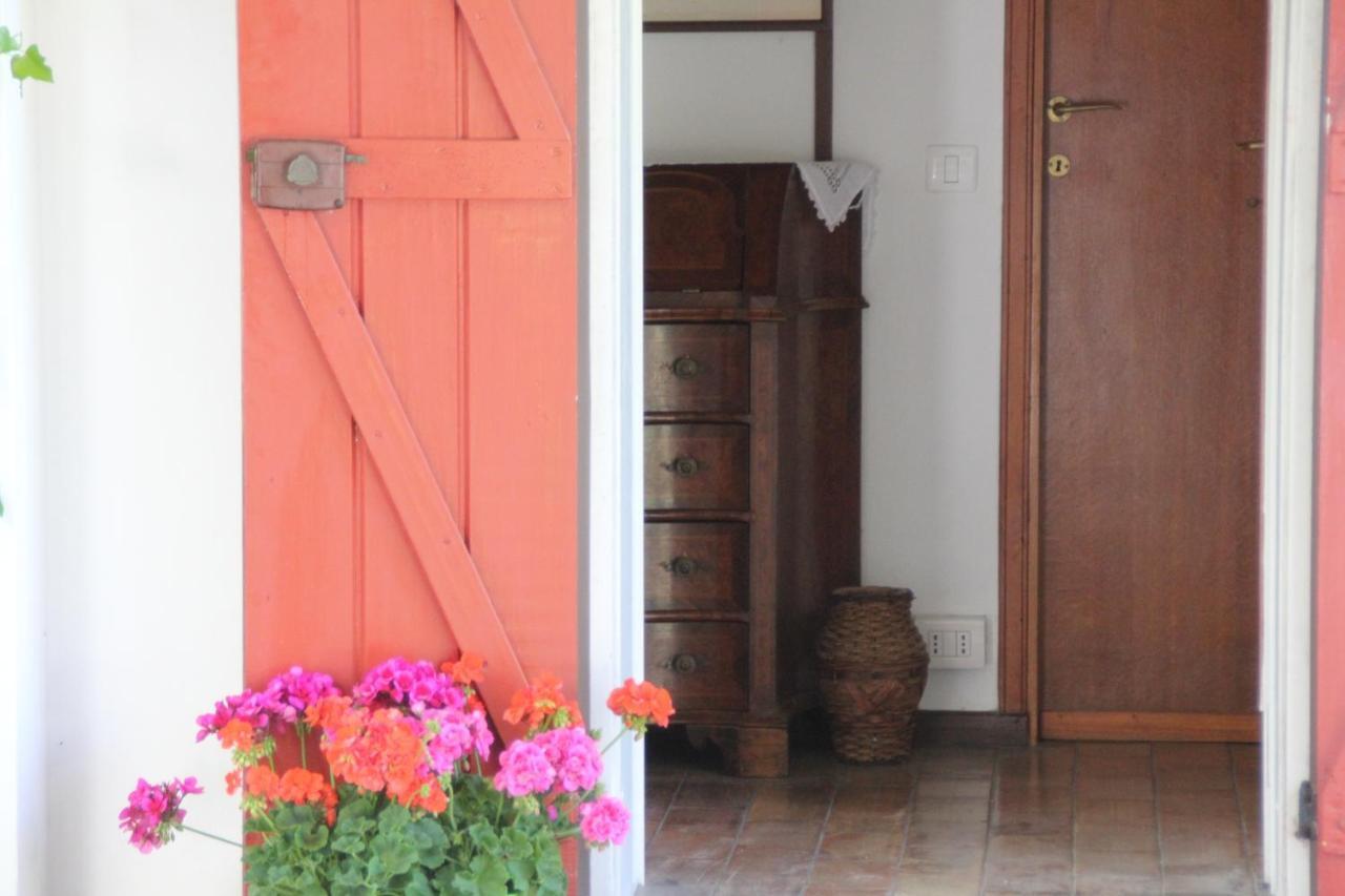 Montefelcino La Villa Del Nonno מראה חיצוני תמונה