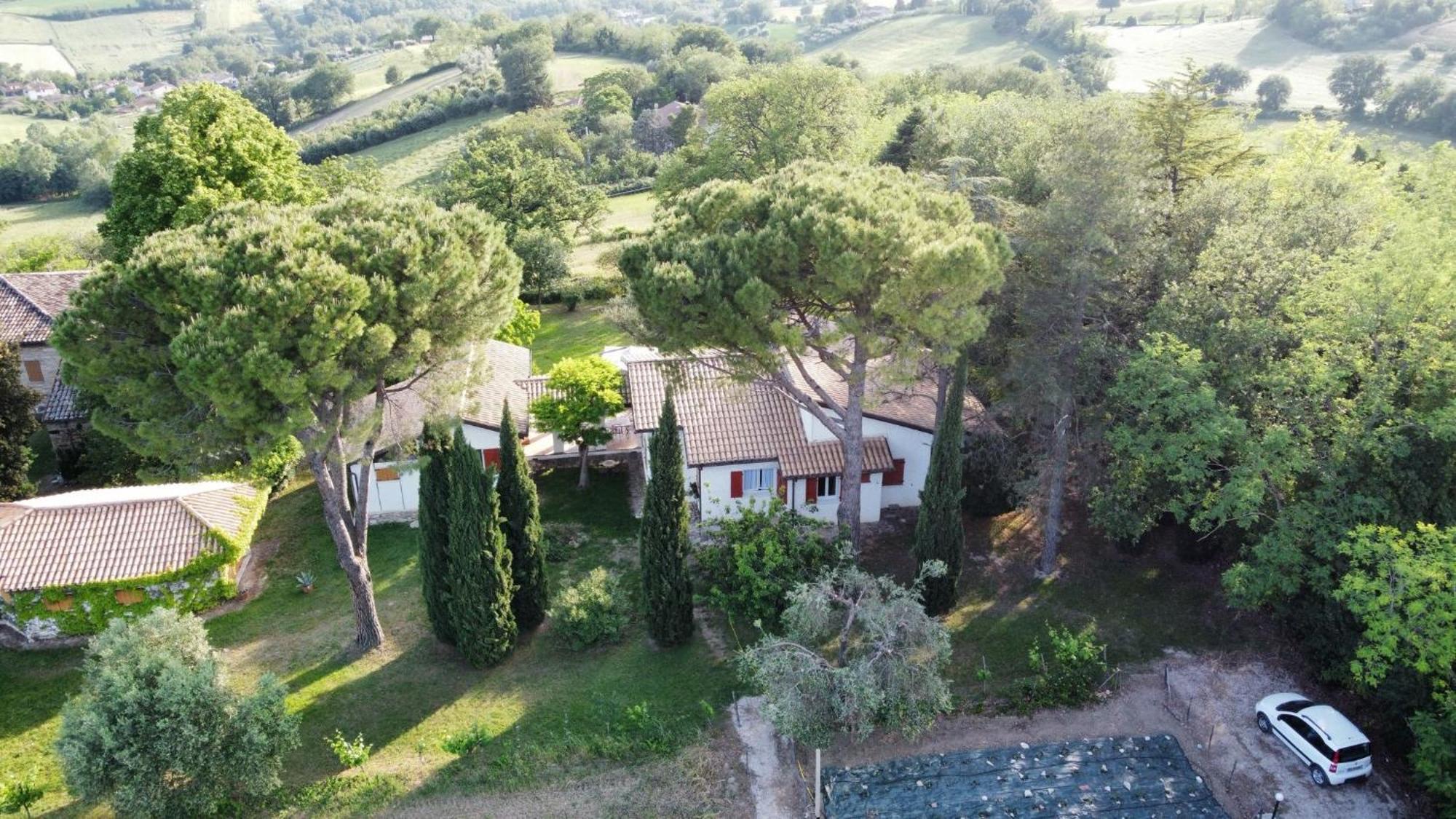 Montefelcino La Villa Del Nonno מראה חיצוני תמונה